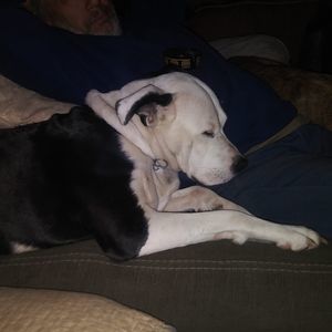 Meet your Posher, Pam